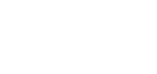 The Flying Bulls
